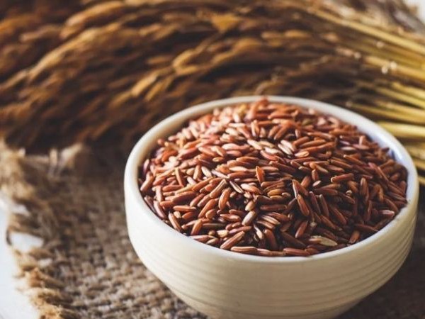 Gạo lứt bao nhiêu calo - Một số lưu ý quan trọng khi ăn gạo lứt giảm cân