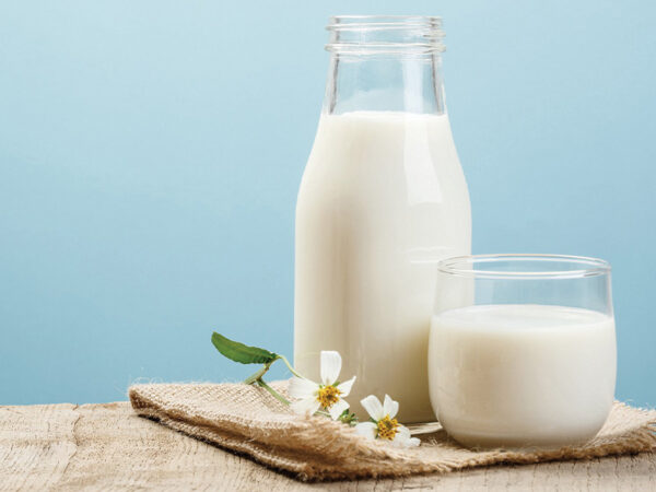 Sữa tươi không đường bao nhiêu calo - Uống có bị béo không