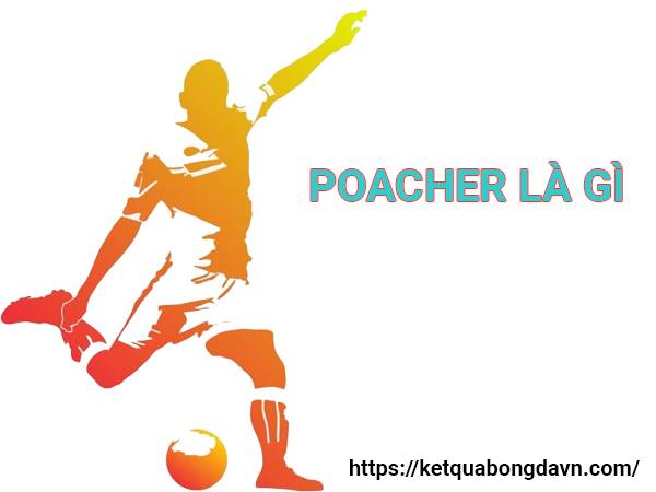 Poacher là gì? Thuật ngữ này dùng để ám chỉ điều gì trong bóng đá