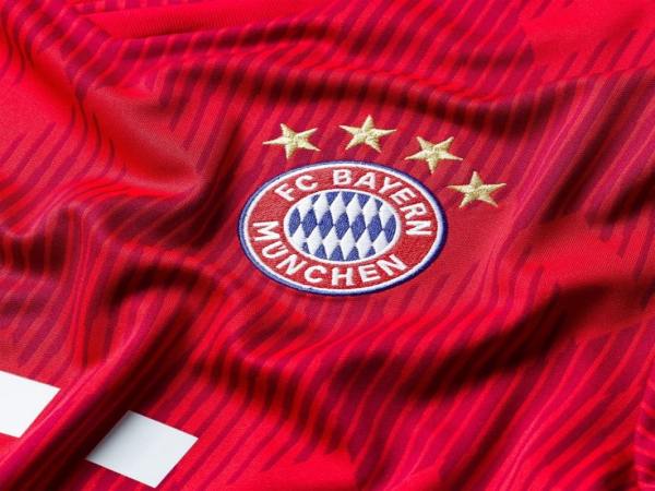 Logo Bayern